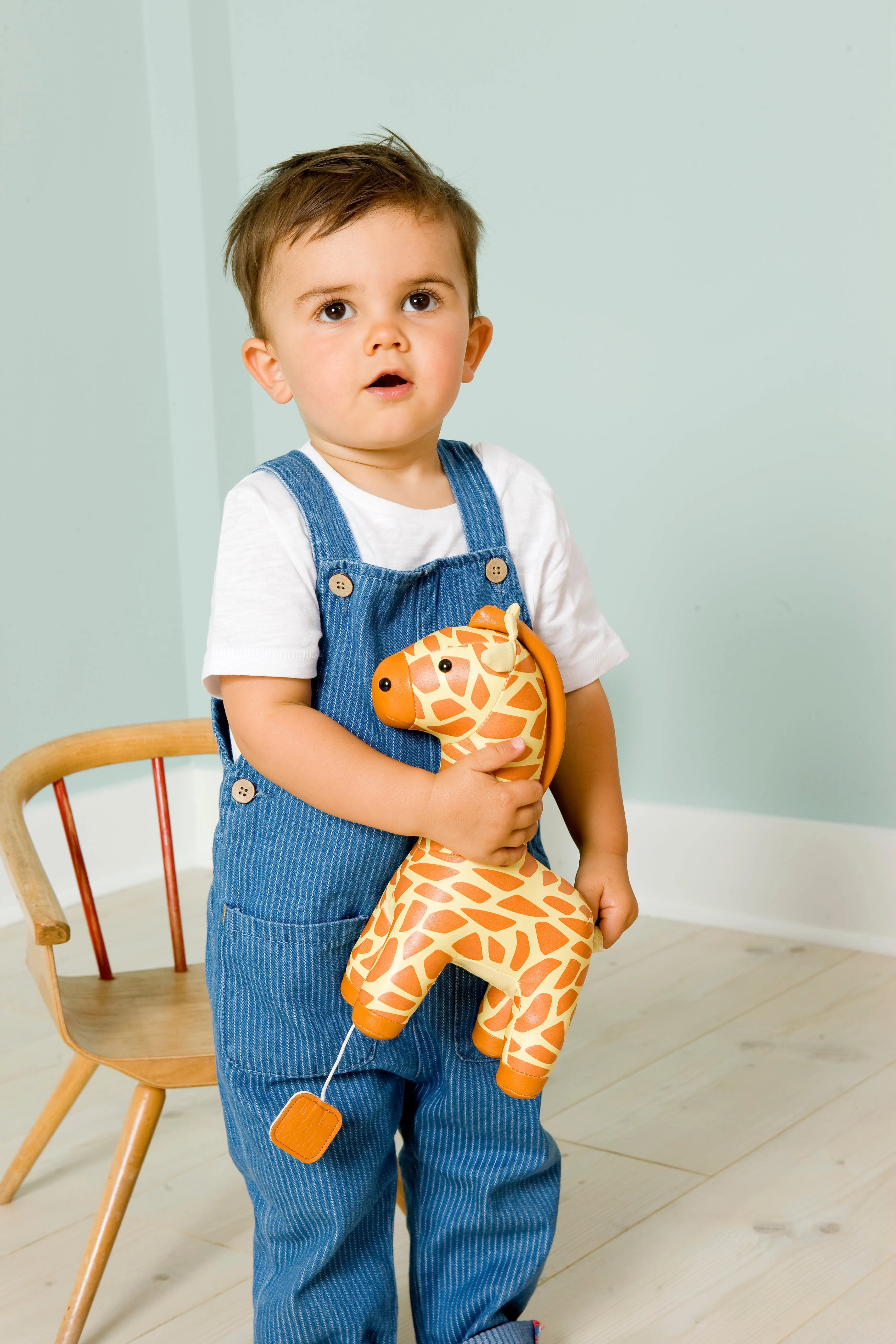 Little Big Friends Musical Animal